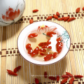 Low Pesticide Goji Berry / Ningxia wolfberry con buen gusto